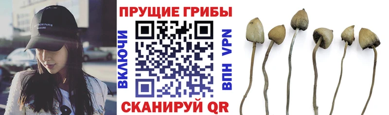 Галлюциногенные грибы Magic Shrooms  МЕГА ТОР  Каргополь 